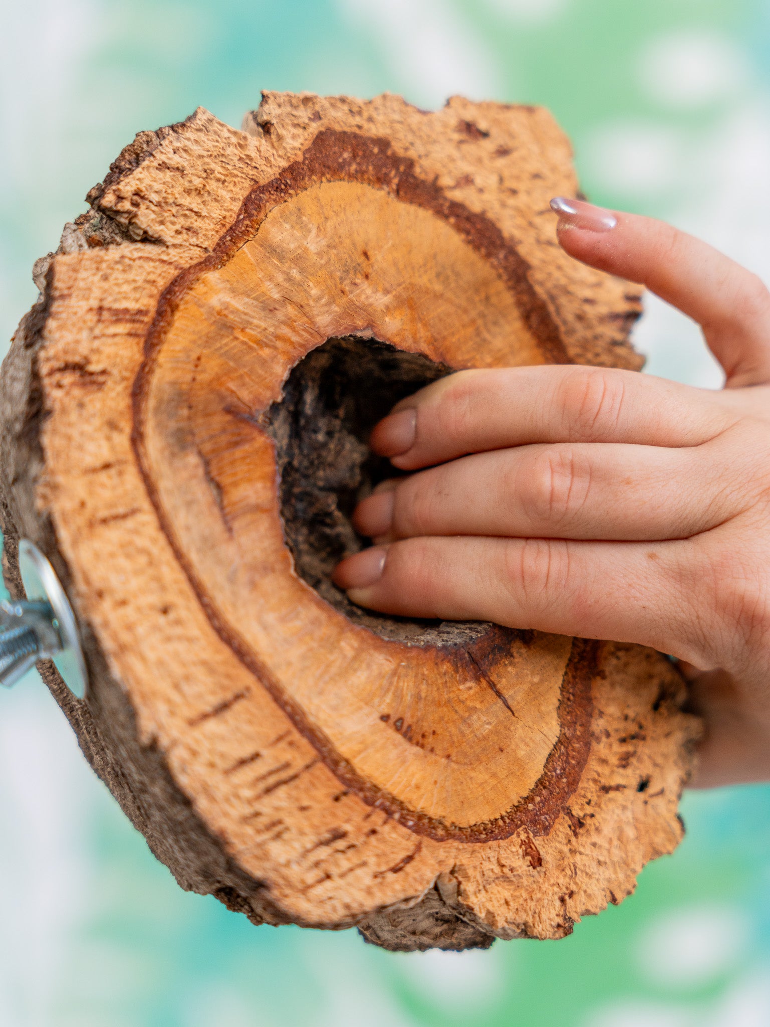 COMEDERO VERRUGA (pieza única #11)