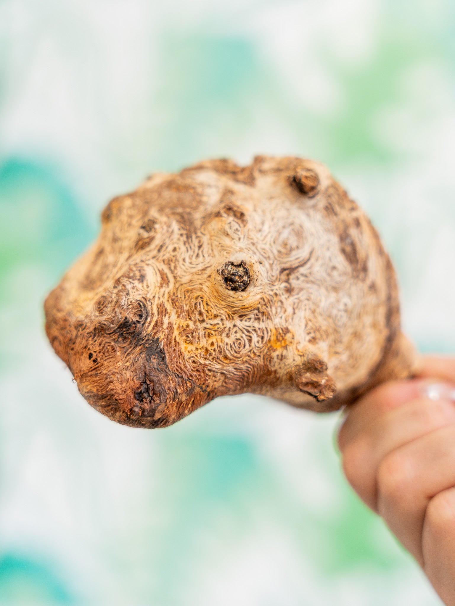 COMEDERO VERRUGA | corcho + interior  (pieza única)