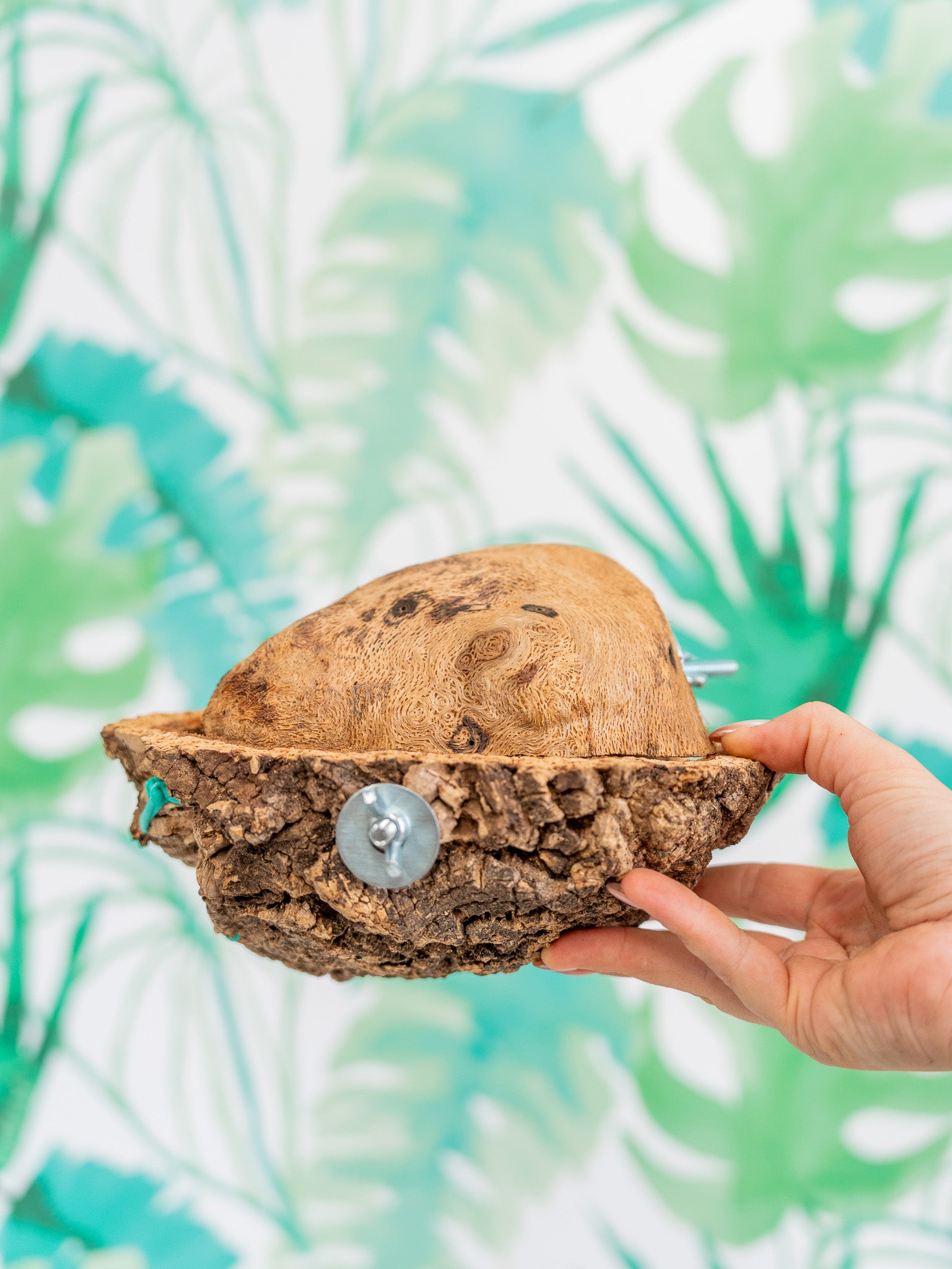 COMEDERO VERRUGA | corcho + interior (pieza única #2)