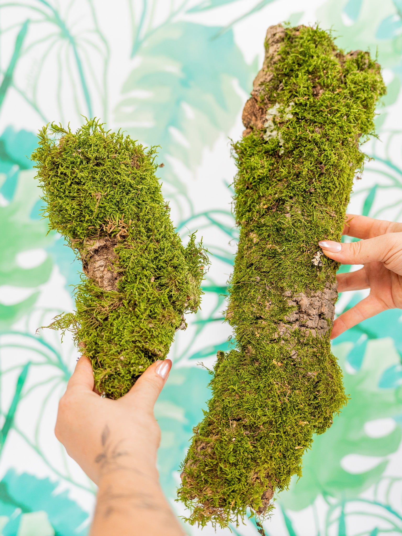 PLANCHA de corcho CON MUSGO (2 tamaños)