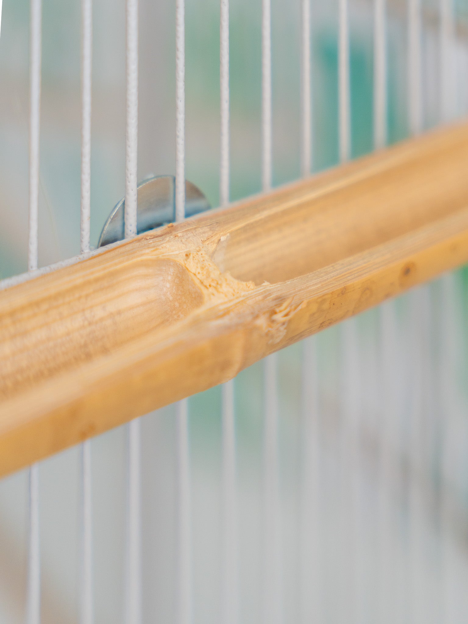 COMEDERO MINI BAMBÚ