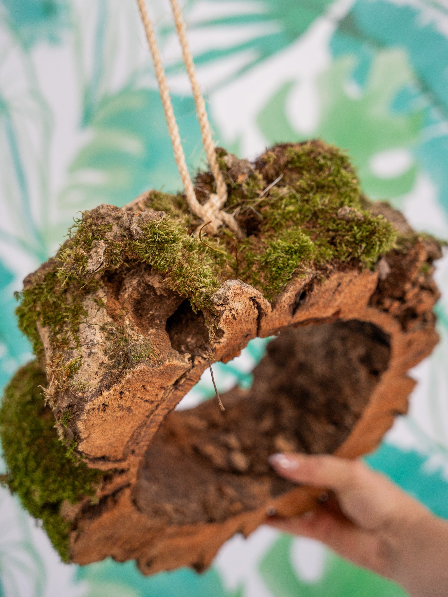 ARO DE CORCHO CON MUSGO (pieza única)