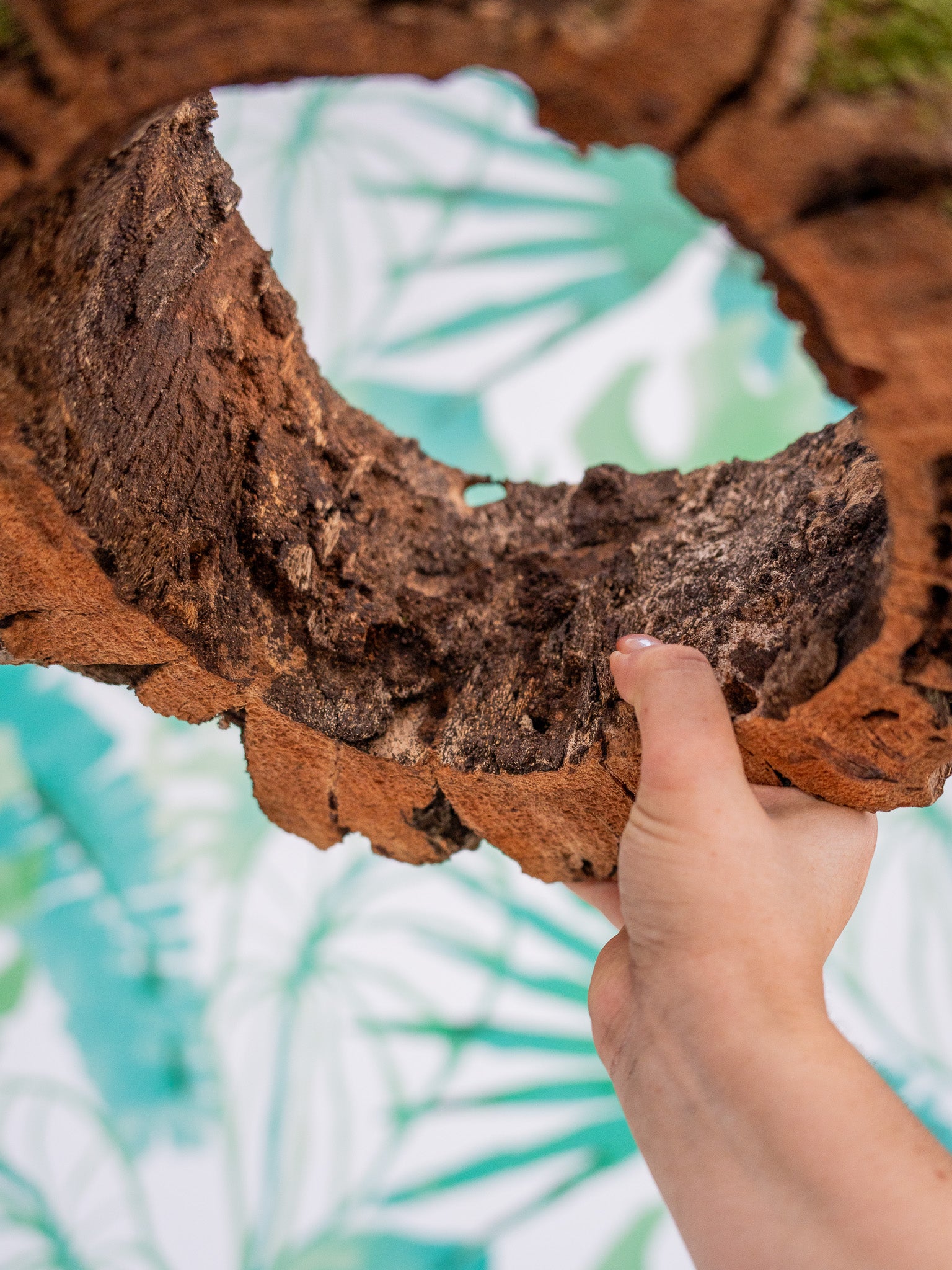 ARO DE CORCHO CON MUSGO (pieza única)