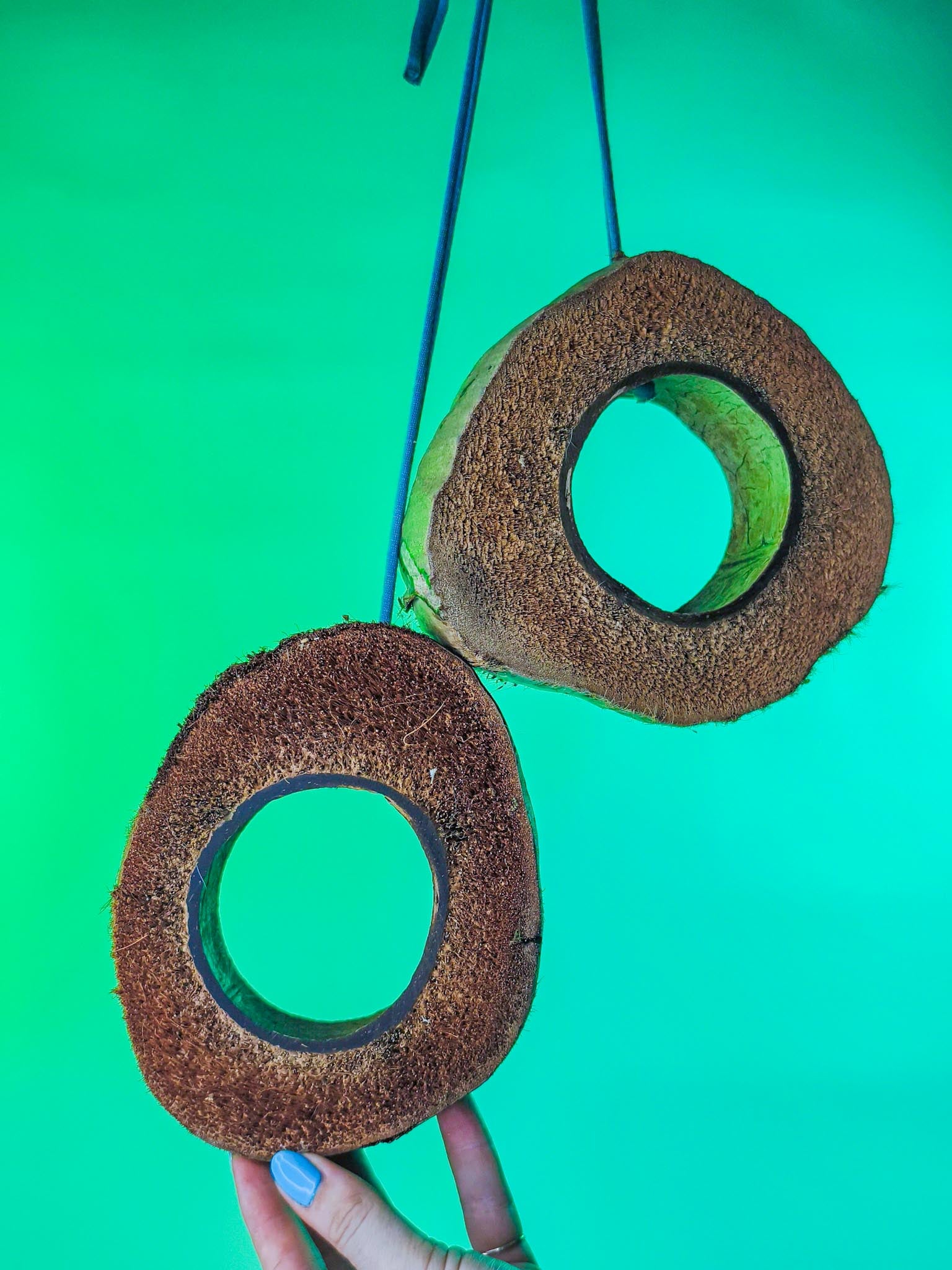 CORK RINGS (LOOSE)