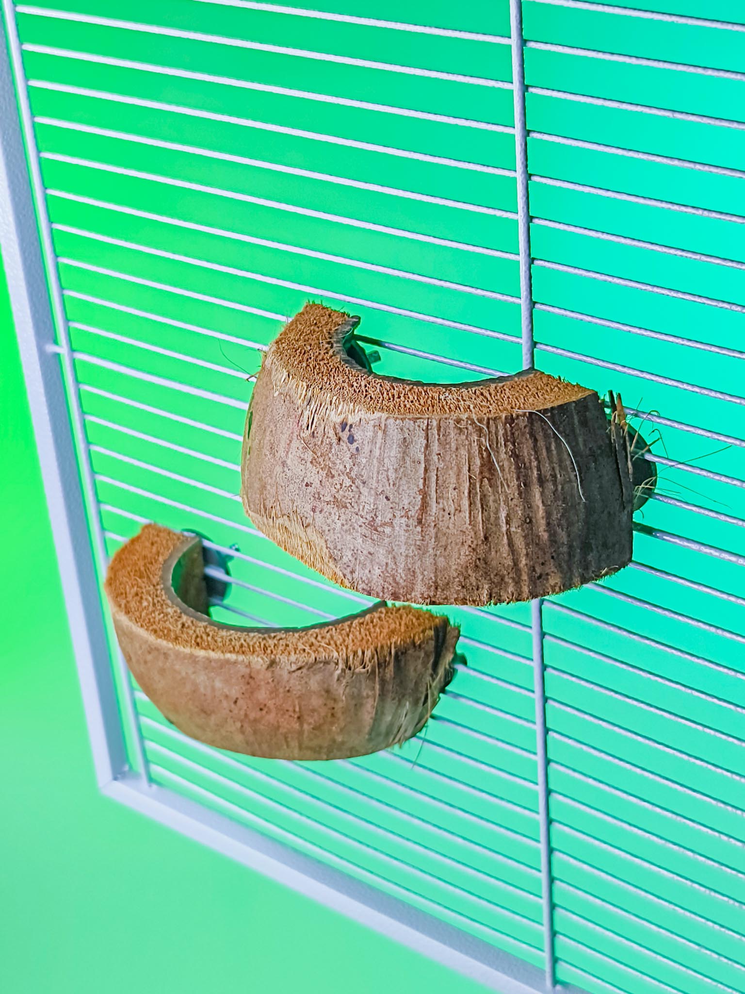 CORK RINGS (LOOSE)