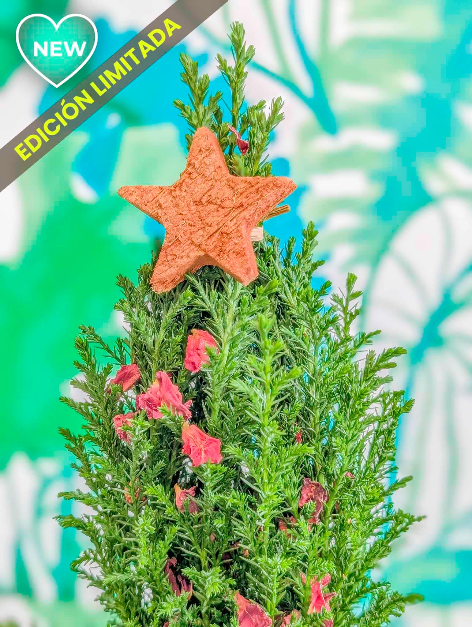 ARBOLITO NAVIDEÑO 2025 (vivo)