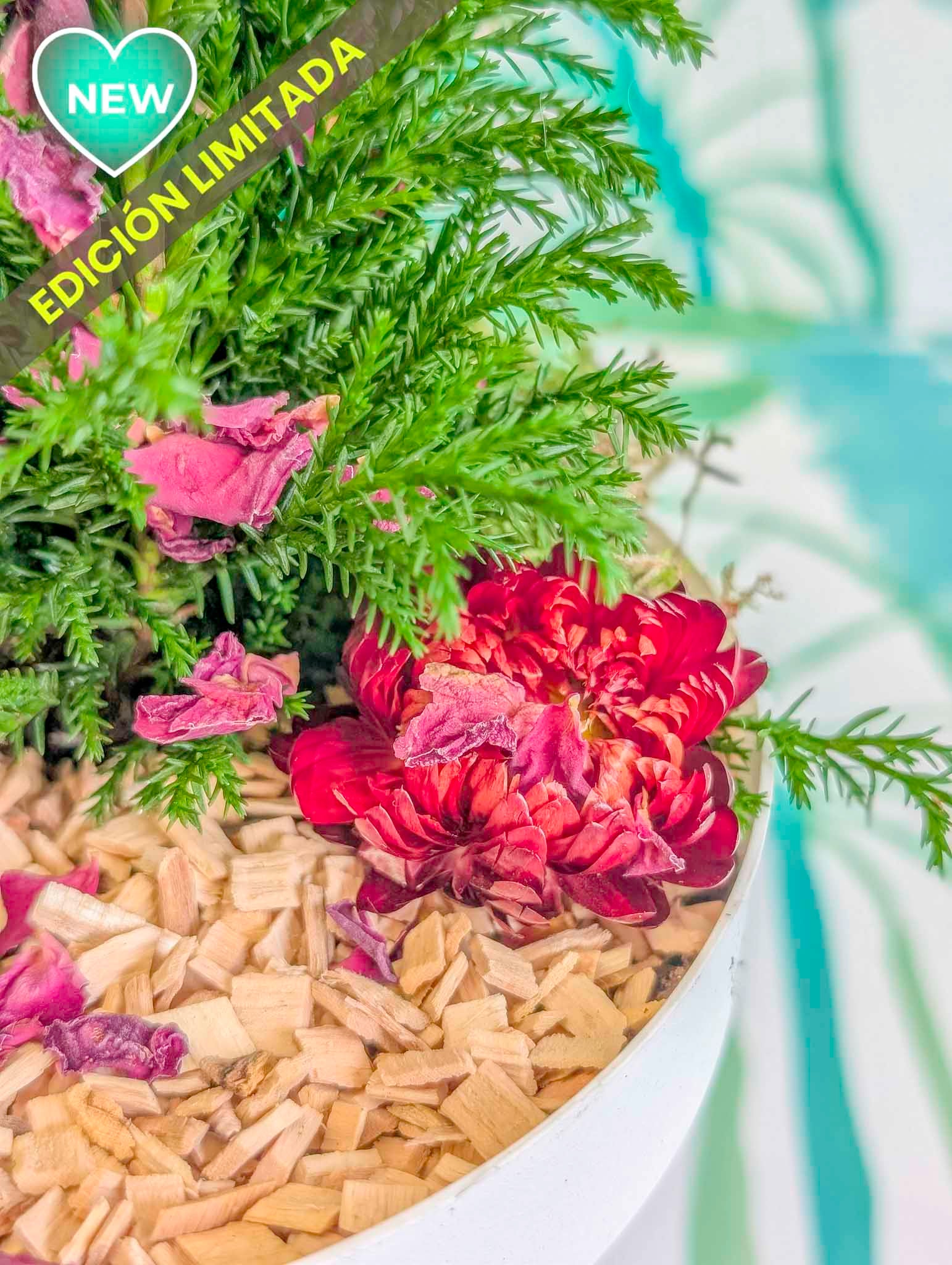 ARBOLITO NAVIDEÑO 2025 (vivo)