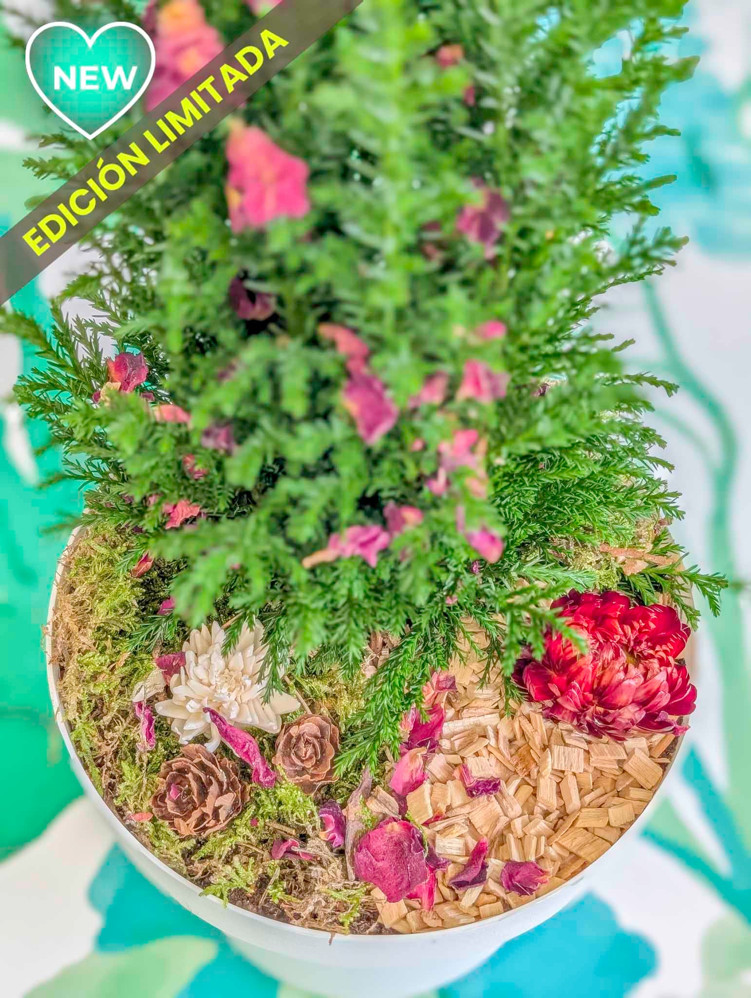 ARBOLITO NAVIDEÑO 2025 (vivo)