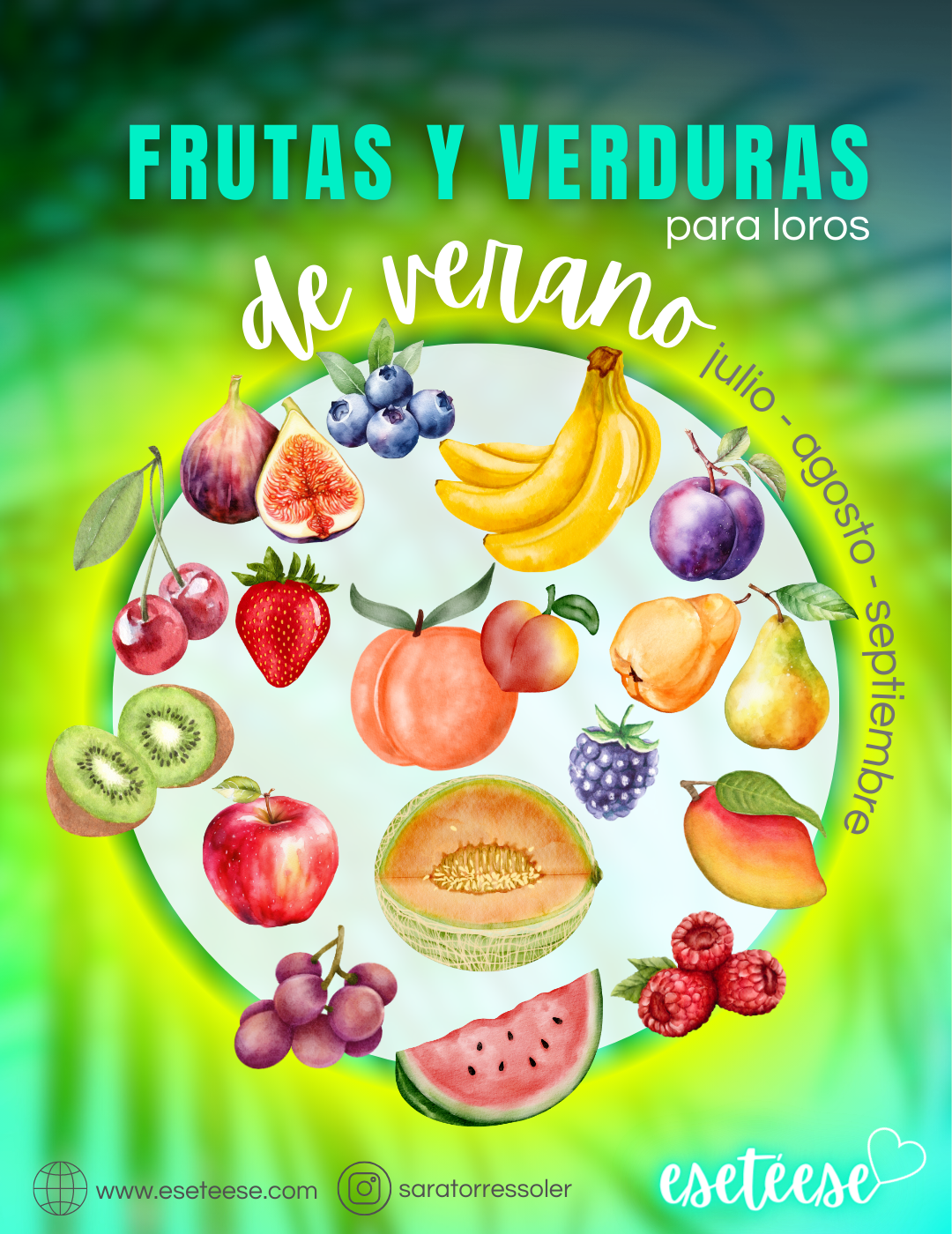 FRUITS AND VEGETABLES for parrots, SUMMER season