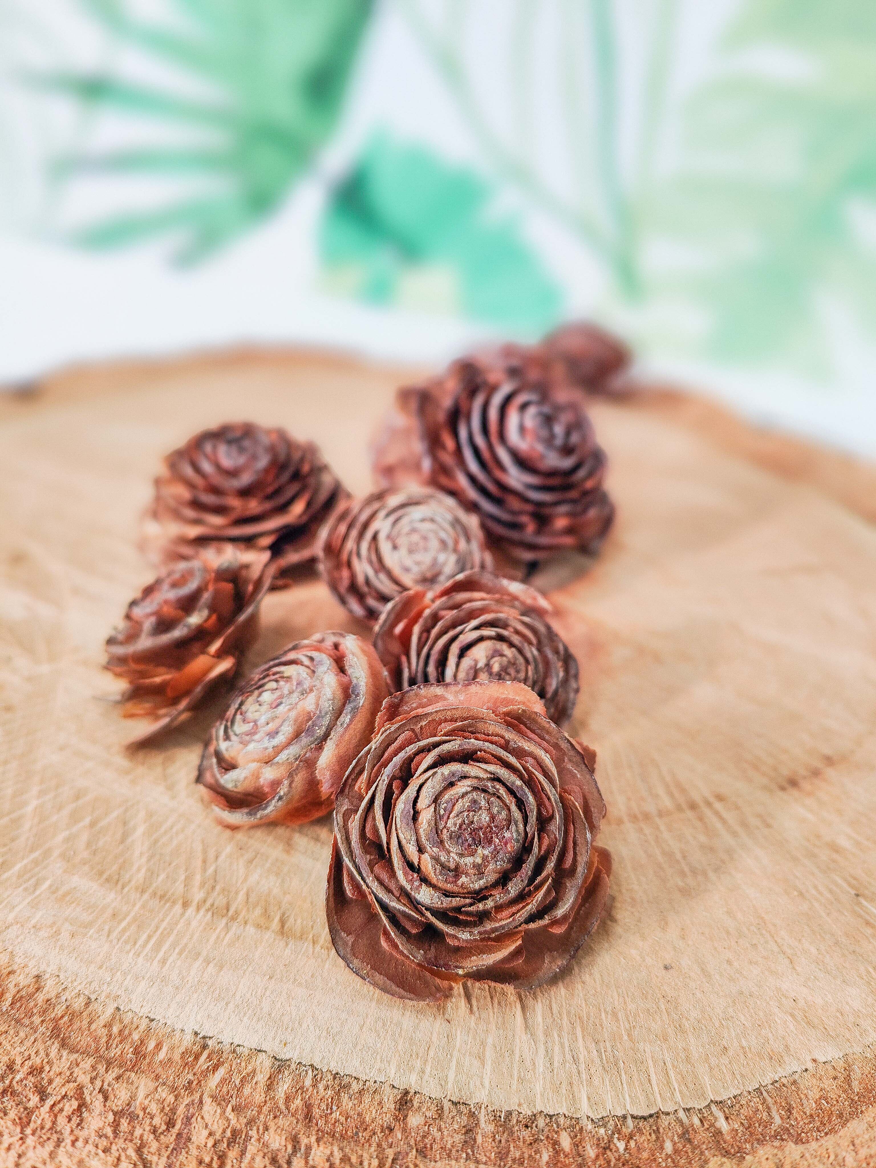PINK PINE CONES (limited units)